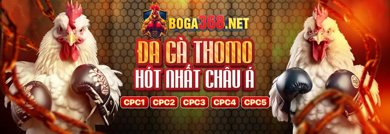 Bảo mật thông tin và dữ liệu người dùng trên nền tảng tải bbetwin